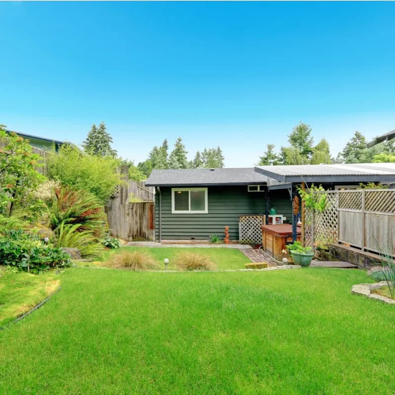 Clean yard after pet waste removal