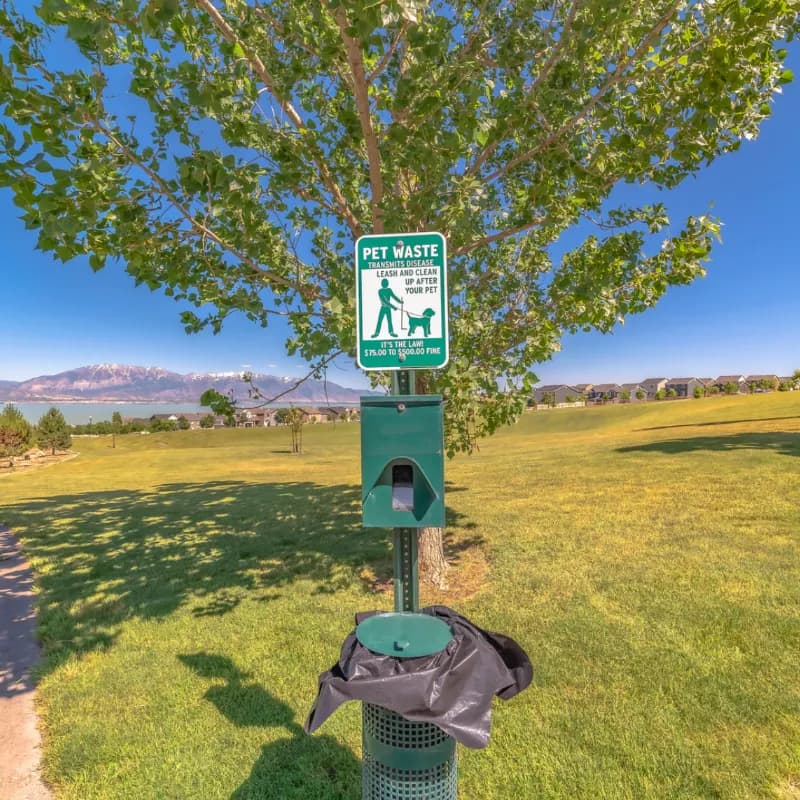 Beautifully maintained lawn