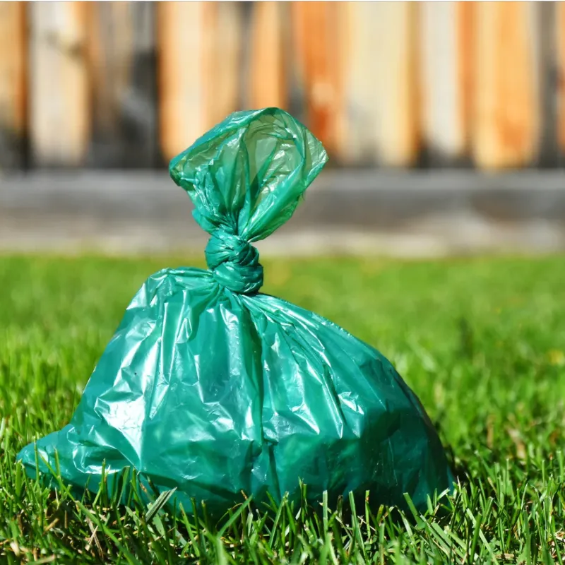 Professional lawn maintenance